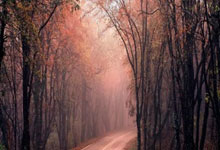 西甲冠军争夺战 皇马积分追平巴塞体马栽跟头.